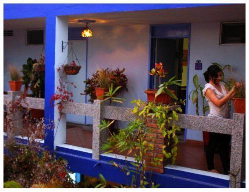 Suitel 522 Eco Hostel Mazatlán Eksteriør billede